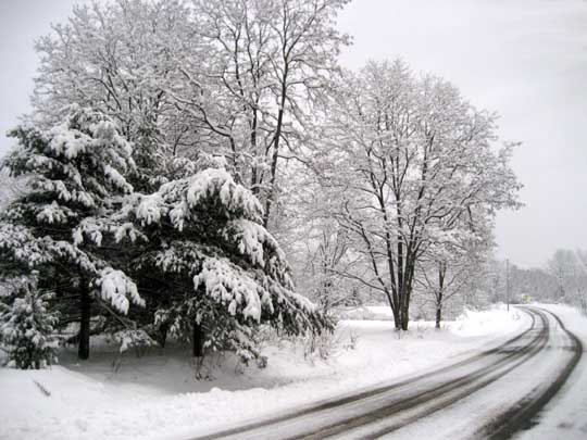 snowy-road.jpg