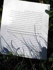 grass-paper1.jpg