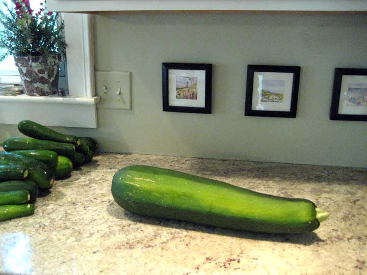 Zucchini