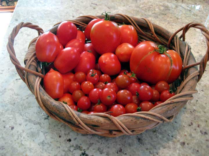 tomato-varieties.jpg