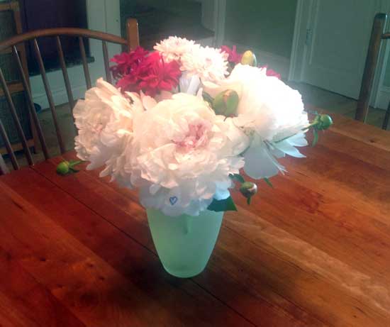 peonies in vase