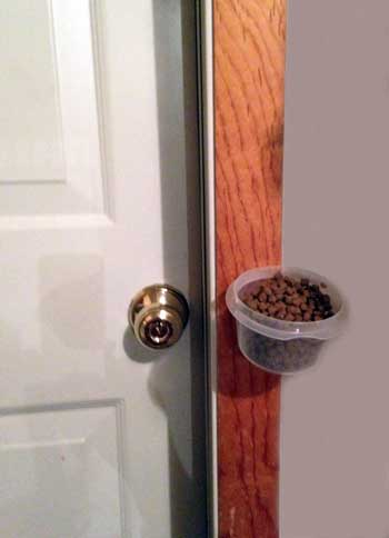 Dog Food Door