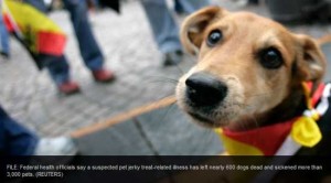 China Jerky Treats Kill 600 dogs