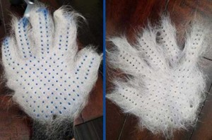 grooming glove full of hair