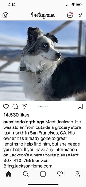 instagram post of lost Aussie