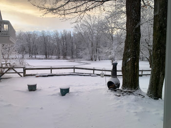 winter outdoor landscape