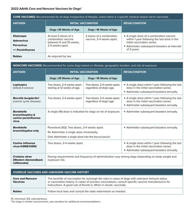 2022AAHA-Core-noncore-vaccines-for-dogs