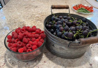 homegrown organic raspberries and concord grapes