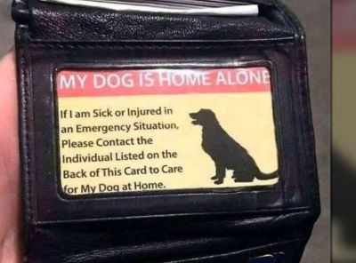 my dog is home alone message