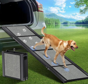 Car dog ramp