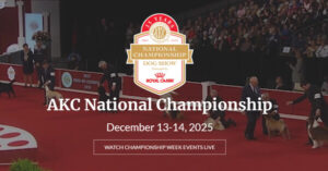 AKC nat'l championship info
