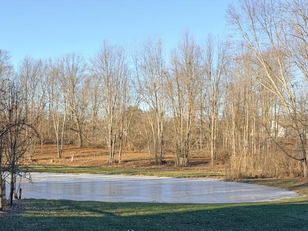 frozen pond on sunny day