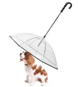 dog umbrella