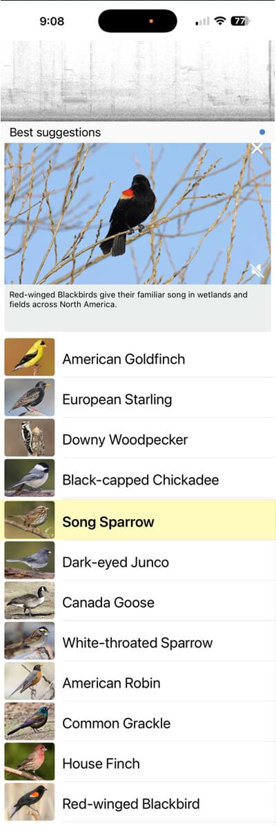 merlin bird app screenshot