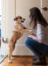 puppy peeing while greeting owner
