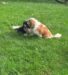 kenz-riley (1)